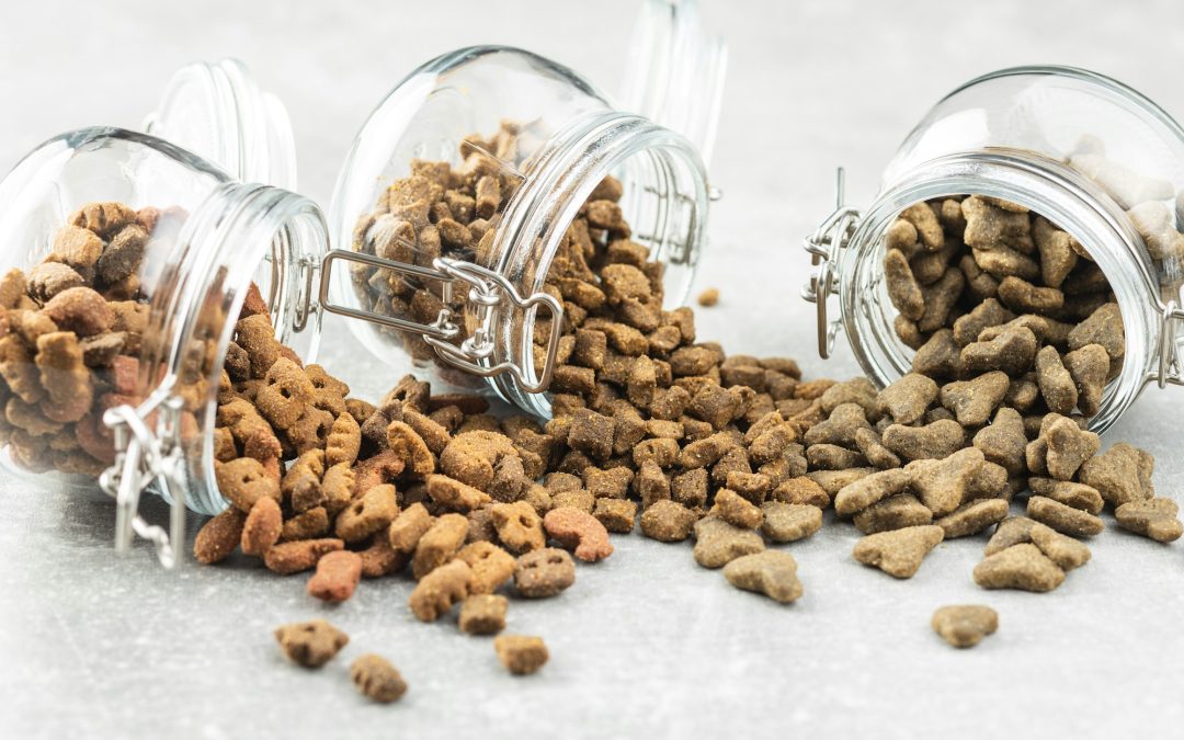 The Taste Test: Discovering Your Pet’s Favorite Kibble through Blind Testing