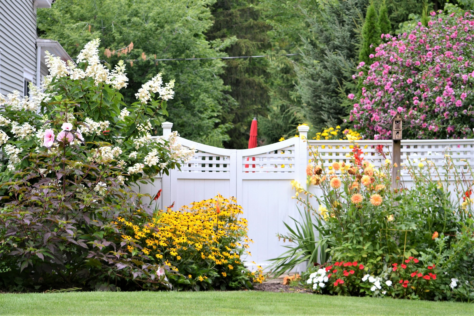 garden against white fence flowering trees and flowers